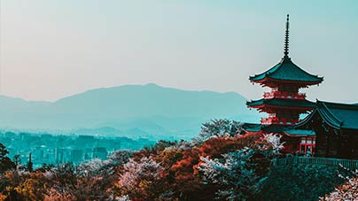 日本 高度人才管理签证